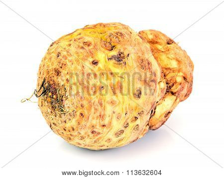 Celery Root Isolated on White Background