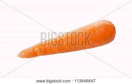 Carrot isolated on white background