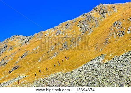 Group of tourists ascent to the mountain pass. Picture was taken during a trekking hike in the Caucasus mountains at autumn Arhiz region, Karachay-Cherkessia, Russia