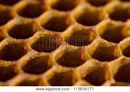 Honeycomb cells close-up from beehive. Beekeeping production.