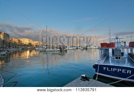 Palma Marina Boats Moored