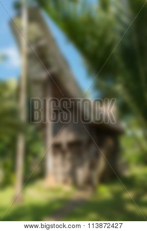Bird park Bali Indonesia Travel theme blur background