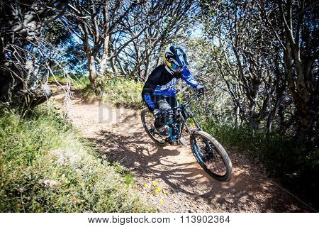 Mountain Bike Riders at Mt Buller