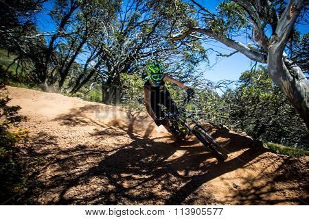 Mountain Bike Riders at Mt Buller
