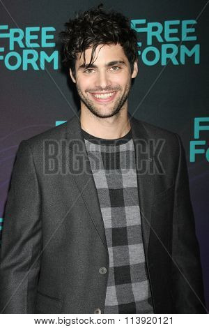 LOS ANGELES - JAN 9:  Matthew Daddario at the Disney ABC TV 2016 TCA Party at the The Langham Huntington Hotel on January 9, 2016 in Pasadena, CA