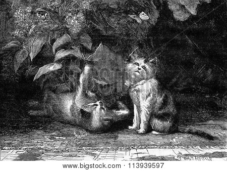 Brother and sister painting by Edouard Girardet, vintage engraved illustration. Magasin Pittoresque 1876.