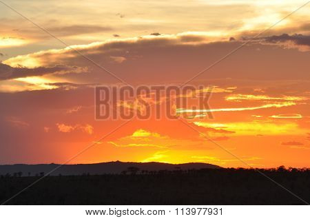 african sunsut