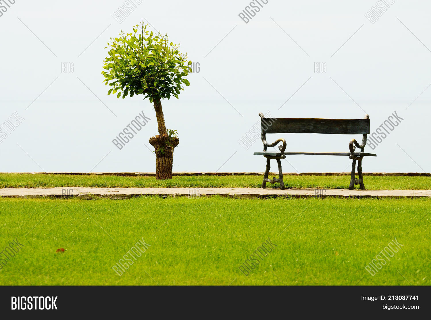 Tree Vacant Bench Image & Photo (Free Trial) Bigstock