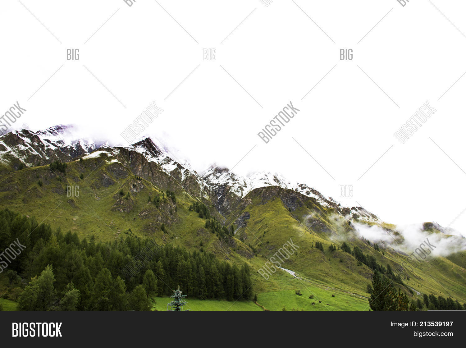 Alpine Tree Forest On Image & Photo (Free Trial) | Bigstock