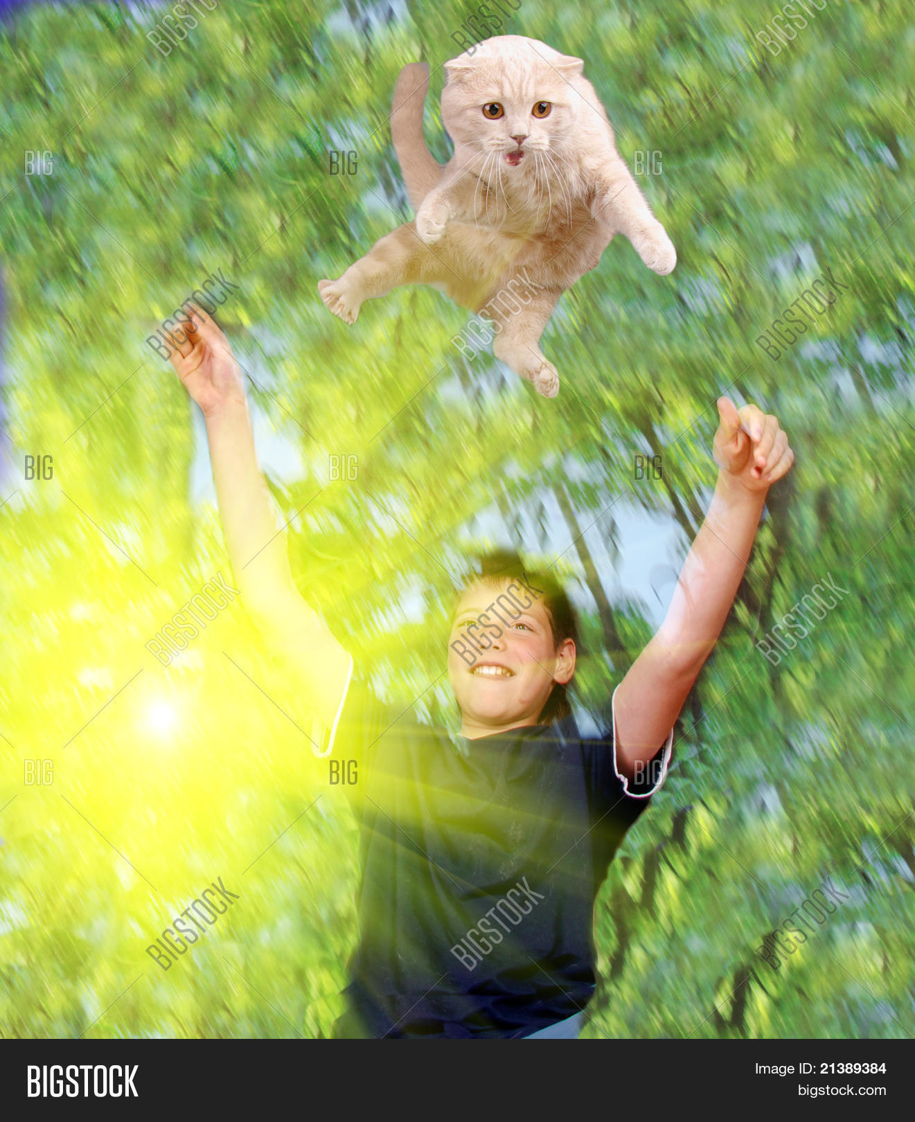 Young Boy Pet Cat Image & Photo (Free Trial) Bigstock