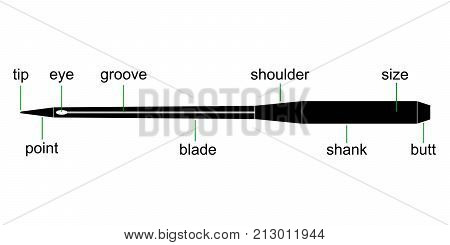 diagram of sewing needles for sewing machines, vector device needle