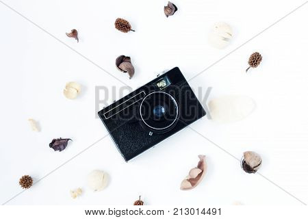 Flat lay. Vintage retro photo camera and flower on white background top view