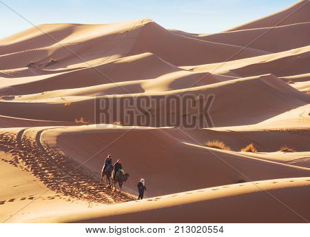 Erg Chebbi sand dunes in the Sahara Desert near Merzouga at early sunny morning, Morocco.  Berber male  guide in traditional dress leading  two tourists on  camels through the desert.