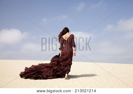 Flamenco In The Dunes