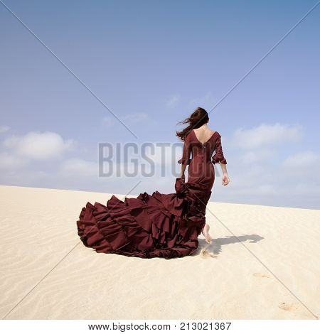 Flamenco In The Dunes