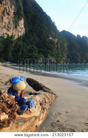 Cute hippo toy seating on the beach