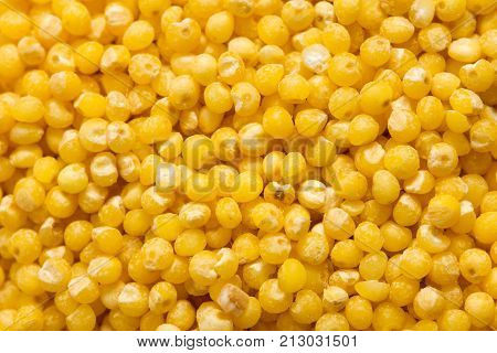 background of millet. macro . Photo of an abstract texture