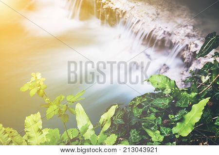 Aerial view of a beautiful waterfall cascading over a shelf of rock into a tranquil pool below viewed over the of fresh green leaves and a yellow flower with the sun glow in the corner