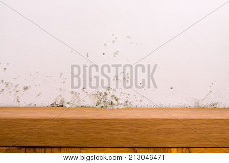 Problem with mould on the wall in house.