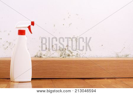 Spray to remove mould on the wall in house. Remove the mold problem.