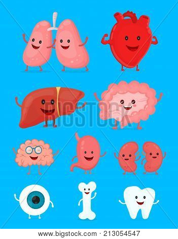 Cute smiling happy human healthy strong organs set. Vector modern style cartoon character illustration icon design. Heart, liver, brain, stomach, tooth, eye.Human internal organs.