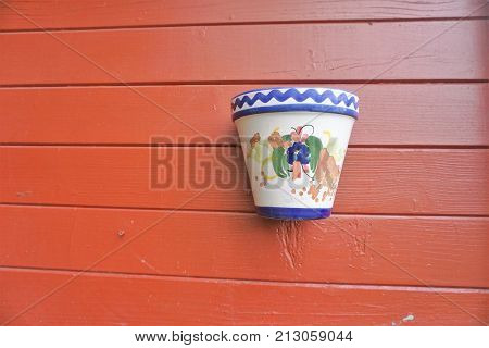 Flower plant pot on a red wall