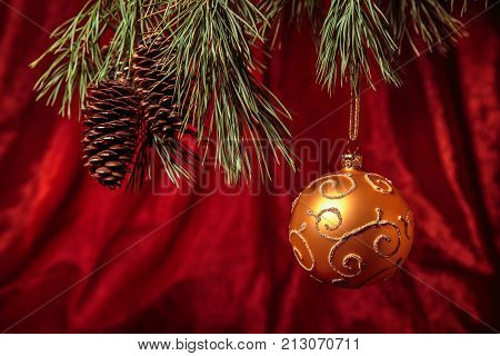 Shiny Christmas gold ball hanging on pine branches with red background
