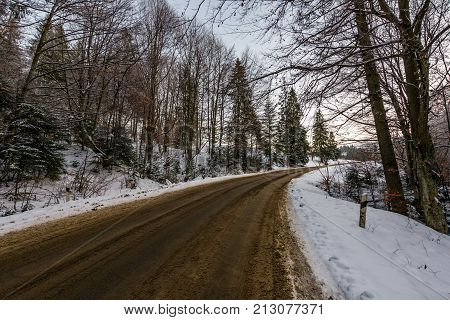 Asphalt Road Through Winter Forest