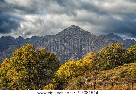 San Parteo Mountain In Corsica With Autumnal Trees