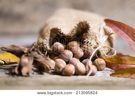 organic hazelnuts in bag on wooden table