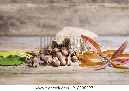 organic hazelnuts in bag on wooden table