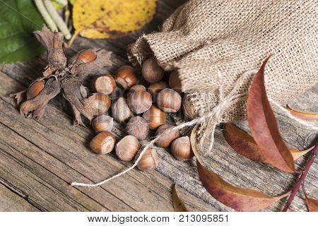 organic hazelnuts in bag on wooden table