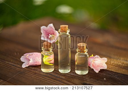 Essence Of  Flowers On Table In Beautiful Glass Bottle