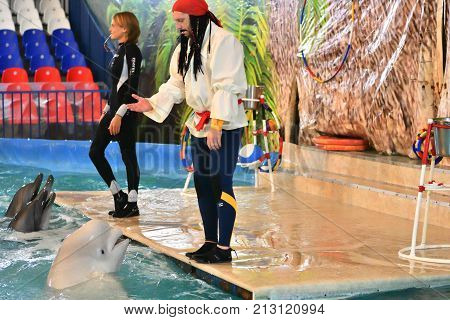 Orenburg, Russia - November 8, 2017 Year: Dolphins And Belukha (lat. Delphinapterus Leucas) In The D
