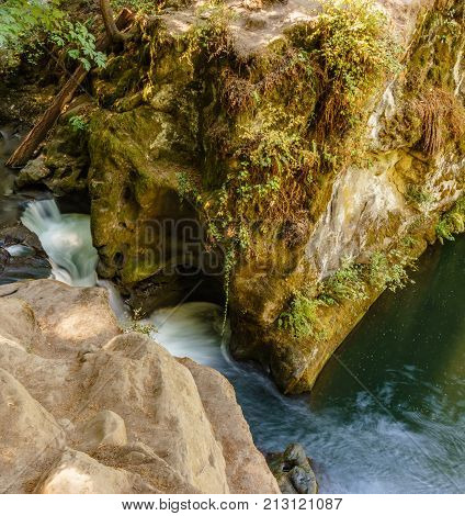 Fast mountain creeck or river in green wet forest