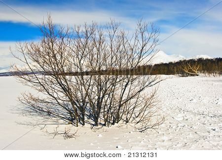 Hiver russe