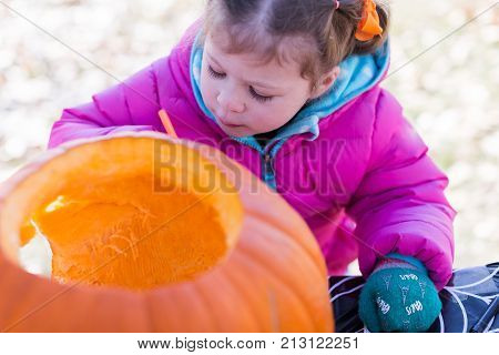 Pumpkin Carving