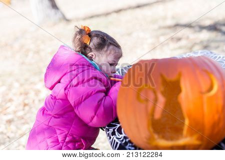 Pumpkin Carving