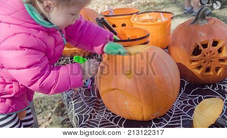 Pumpkin Carving