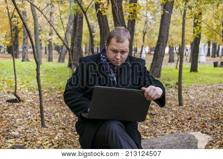 Businessman Having A Laptop In The Park In The Fall. Young Man Sitting On Tree In Park With Laptop O
