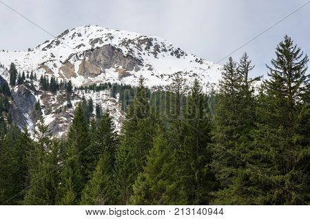 Panoramic view of Alps the highest and most extensive mountain range system that lies entirely in Europe