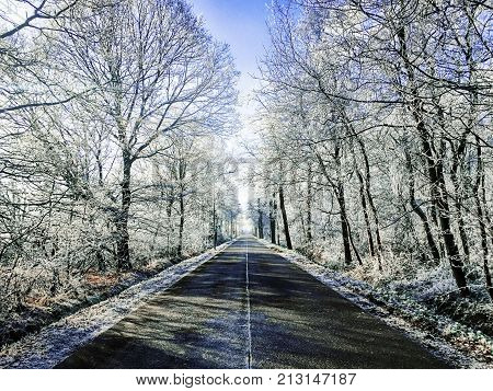 Landscape in the winter cloudy day of snow covered fields and forests in Belgium, Province Antwerp, District Turnhout, Rijkevorsel
