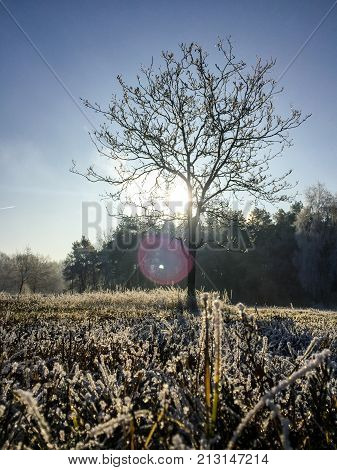 Landscape in the winter cloudy day of snow covered fields and forests in Belgium, Province Antwerp, District Turnhout, Rijkevorsel