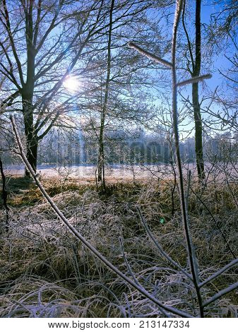 Landscape in the winter cloudy day of snow covered fields and forests in Belgium, Province Antwerp, District Turnhout, Rijkevorsel