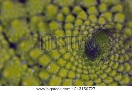 Definitely body paint! Or is it? A green cubage maybe?