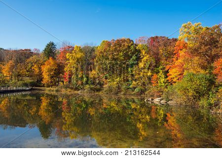 Autumn reflections on George Lake in Washington Township New Jersey.