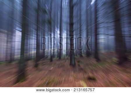 foggy autumn forest abstract blur motion wood landscape