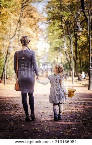 Mother with daughter walking in the park in autumn holding hands. Yellow leaves on tress. Back view