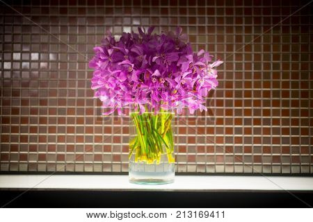 Close up mokara boonlong orchid flower bouquet in glass pot