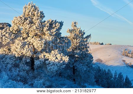 Winter in the Karkaraly Mountains.
Karkaraly mountains - a mountain range in the Karaganda region of Kazakhstan.
